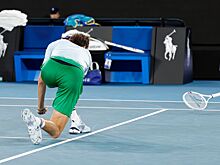 Даниил Медведев: какой штраф получил на Australian Open 2025, самые большие штрафы в теннисе, таблица, статистика