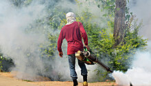 Вспышка лихорадки денге зафиксирована в Парагвае