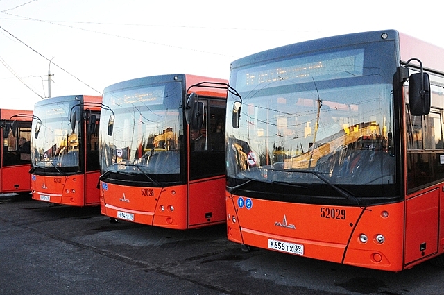 В калининградский автобусах до конца июля починят все кондиционеры