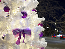 Тюменцев пригласили на открытие главной ёлки 27 декабря