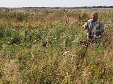 Смогут ли в Зауралье решить проблему брошенных полей
