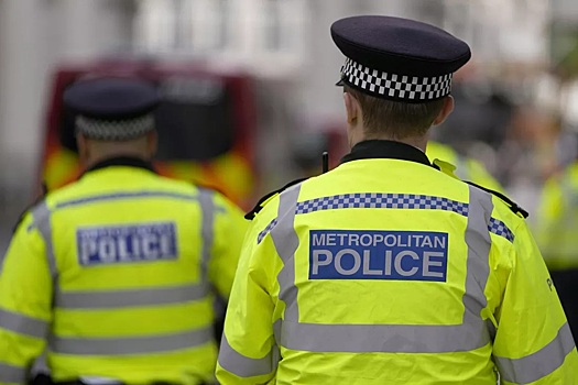 В Англии заброшенные особняки осужденного на 5 лет российского бизнесмена стали мишенью для мародеров