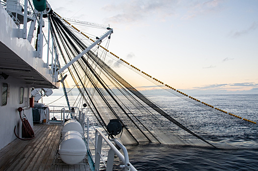 Ранний ледостав в Якутии. Что будет с ценами на муксуна и ряпушку?