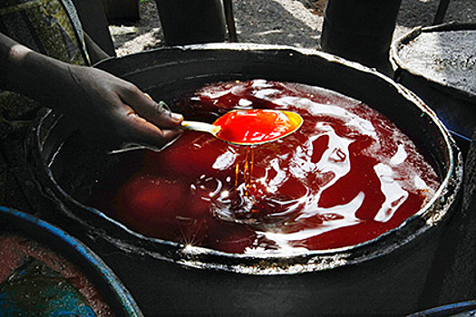 Минсельхоз подготовил предложения по введению акциза на пальмовое масло