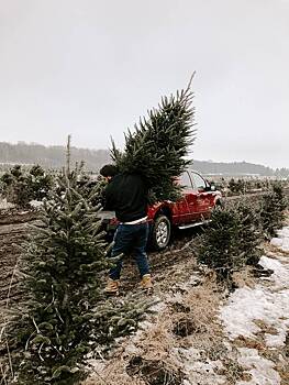 В Нижегородской области пройдет конкурс на самую красивую новогоднюю елку