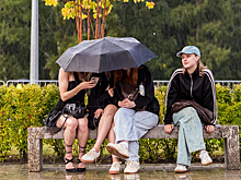 Сибирское лето не сдается: Новосибирск ждет потепление после дождей