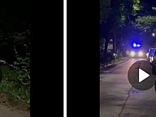 Нижегородцы пожаловались на парковку машин напротив «Швейцарии» в День города