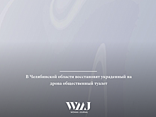 В Челябинской области восстановят украденный на дрова общественный туалет
