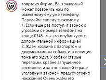 К алабаю, которого тащили по шоссе, выстроилась очередь из новых хозяев