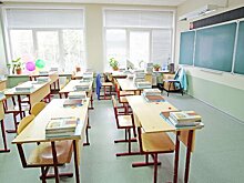 Володин предложил законодательно закрепить обязательные уроки труда в школах