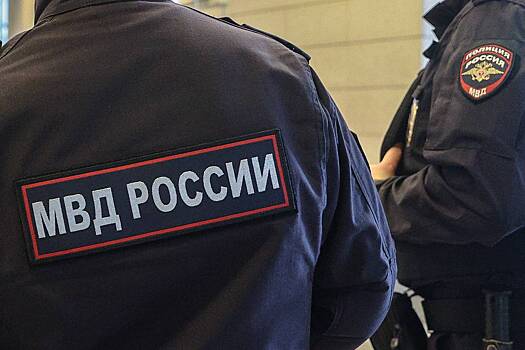 Школьник попытался пронести боеприпас на территорию Кремля