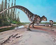 «Присел отдохнуть»: найден огромный след динозавра