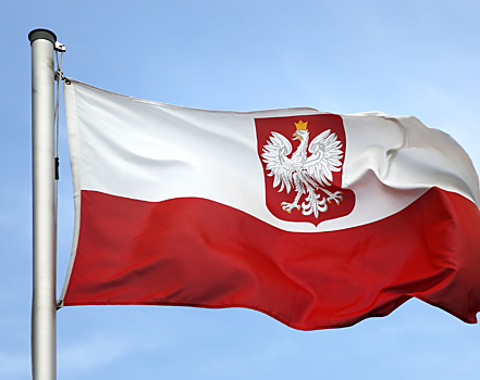В Польше заявили о сокрытии важных материалов по Смоленской авиакатастрофе