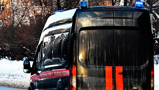 СК РФ подтвердил обнаружение тела девятилетнего Паши в Ленобласти