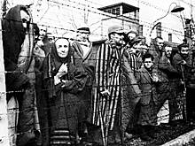 Феномен сопротивления: обнародованы новые данные о деятельности советского подполья в концлагерях