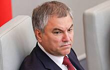 Володин отреагировал на планы Украины отменить 9 мая