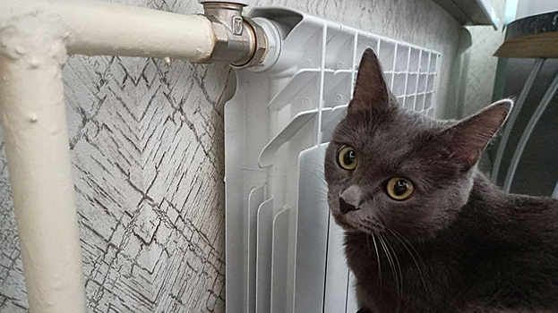 «Достали кочегарить!»: в Ноябрьске не спешат отключать отопление