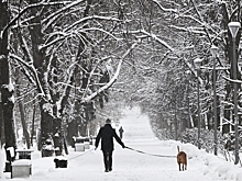 В Москву придет зима