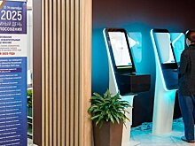 МВД не выявило существенных нарушений на выборах в России