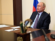 Путин оценил ситуацию с коронавирусом в России