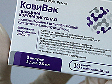 Очередная партия вакцины «КовиВак» поступила в Новосибирск