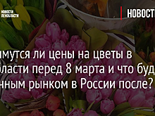 Поднимутся ли цены на цветы в Ленобласти перед 8 марта и что будет с цветочным рынком в России после?