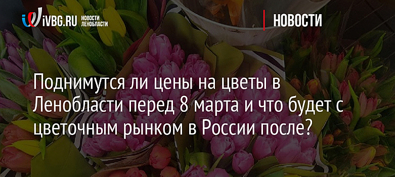Поднимутся ли цены на цветы в Ленобласти перед 8 марта и что будет с цветочным рынком в России после?