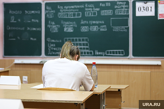 Курганским школьникам помогут в интернете решить ЕГЭ