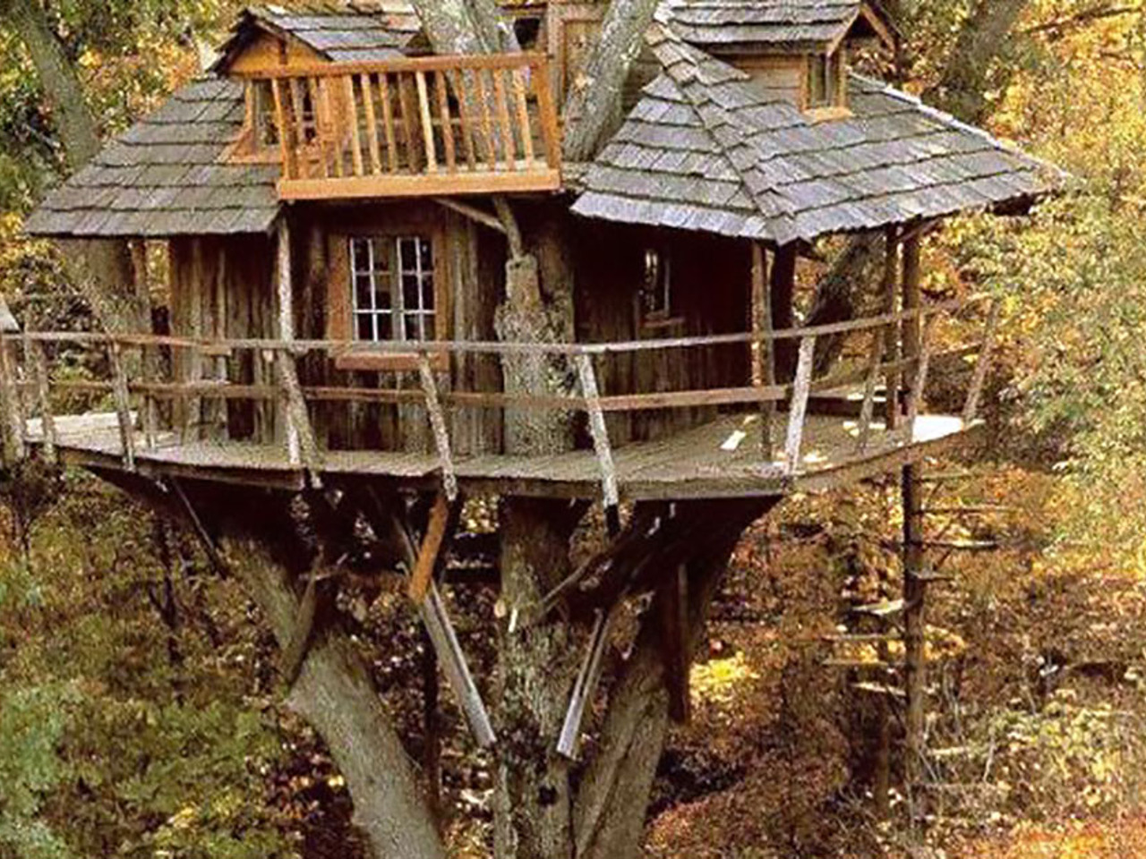 Жилой дом на дереве. Дом на деревьях Шотландия климанрюк. Tree House Кишинев. Хижина гномов, Британская Колумбия. Алникский дом на дереве.
