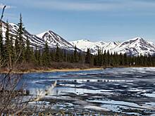 Русская Америка: как и почему Аляску продали США