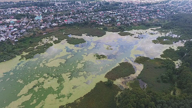 «Амфибия» превратит Масловский затон в Воронеже из болота в полноценный водоём