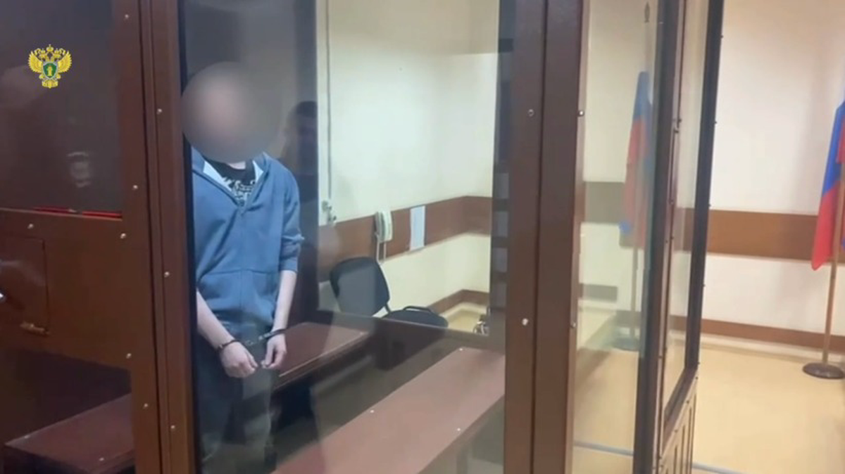 Ударившего девушку ножом в шею в центре Москвы мужчину заключили под стражу