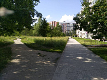 Мэрия Новосибирска без торгов продала участок бывшего рынка в микрорайоне «Щ»