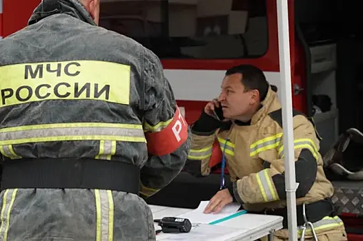 В Самаре пожарные спасли из горящего дома пять человек