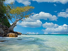 Россияне установили рекорд по поездкам в Таиланд