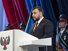 Пушилин заявил об ажиотаже на паспорта ДНР