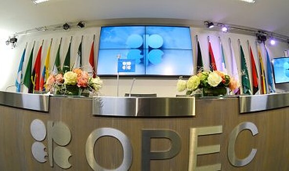 Новак: Мониторинговый комитет ОПЕК+ состоится в Омане 21-22 января