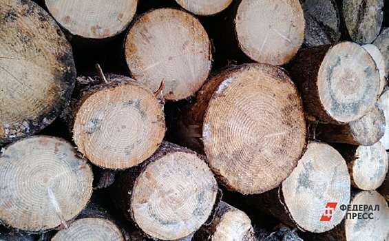 В Иркутской области возбуждено уголовное дело в отношении руководителя лесоперерабатывающего предприятия, подозреваемого в контрабанде леса