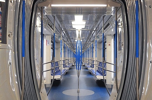 Вертикальные поручни у дверей в поездах метро «Москва» убрали по просьбе пассажиров