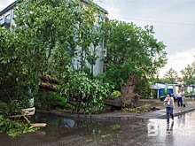 Средний размер выплаты по автокаско за авто, пострадавшие из-за стихии, составил 137 тыс. рублей