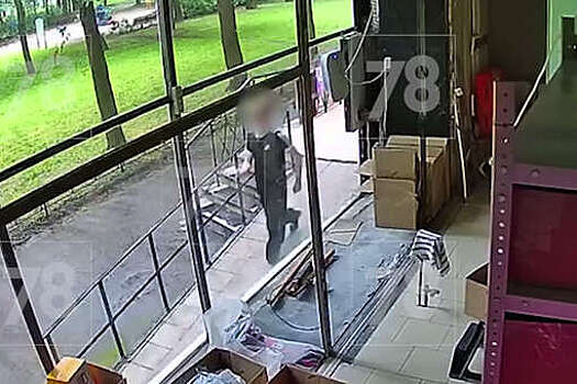 В Петербурге трое подростков проникли в приют и украли котенка в переноске