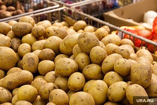 Челябинские волонтеры отправили на фронт полторы тонны картофеля