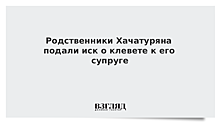 Родственники убитого дочерьми Хачатуряна подали к его супруге иск о клевете