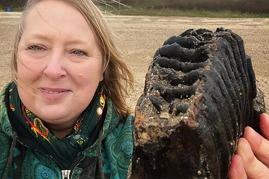 Британка нашла на пляже огромный зуб мамонта