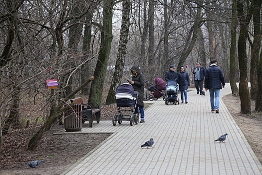 В парке «Фили» отремонтировали лестницу и удалили сухостой