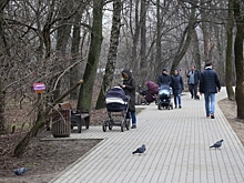 В парке «Фили» отремонтировали лестницу и удалили сухостой