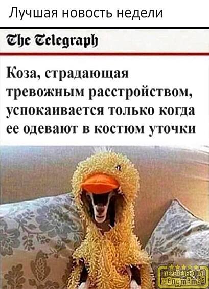 Новости, которые мы заслужили.