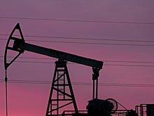 Экономист оценил сообщения о приостановке закупок российской нефти Индией и Китаем