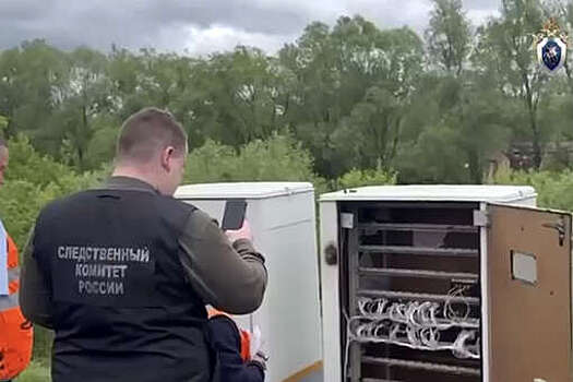 СК: в Ульяновской области парень осужден на 8 лет по статье о диверсии