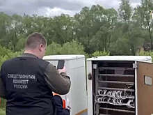 СК: в Ульяновской области парень осужден на 8 лет по статье о диверсии